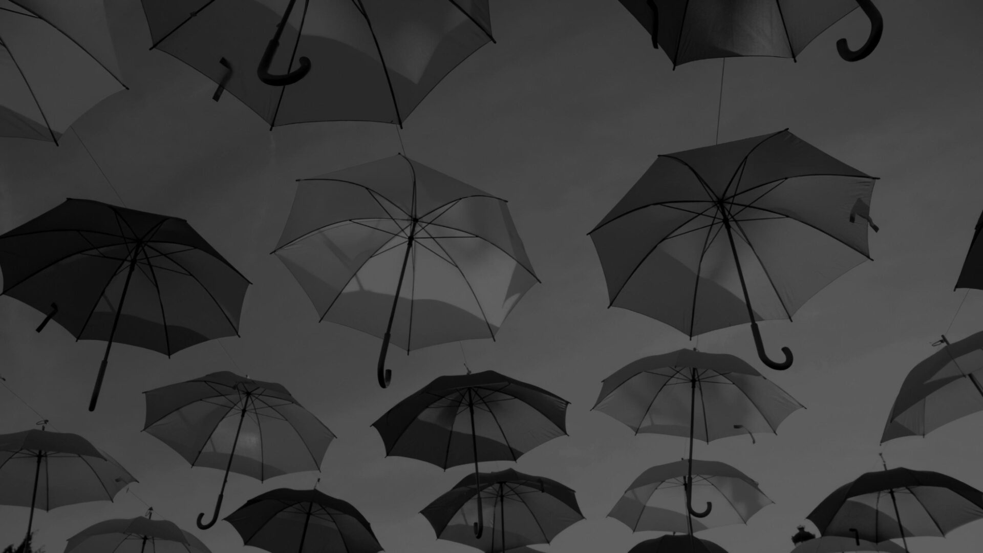 Purpose x Culture dark