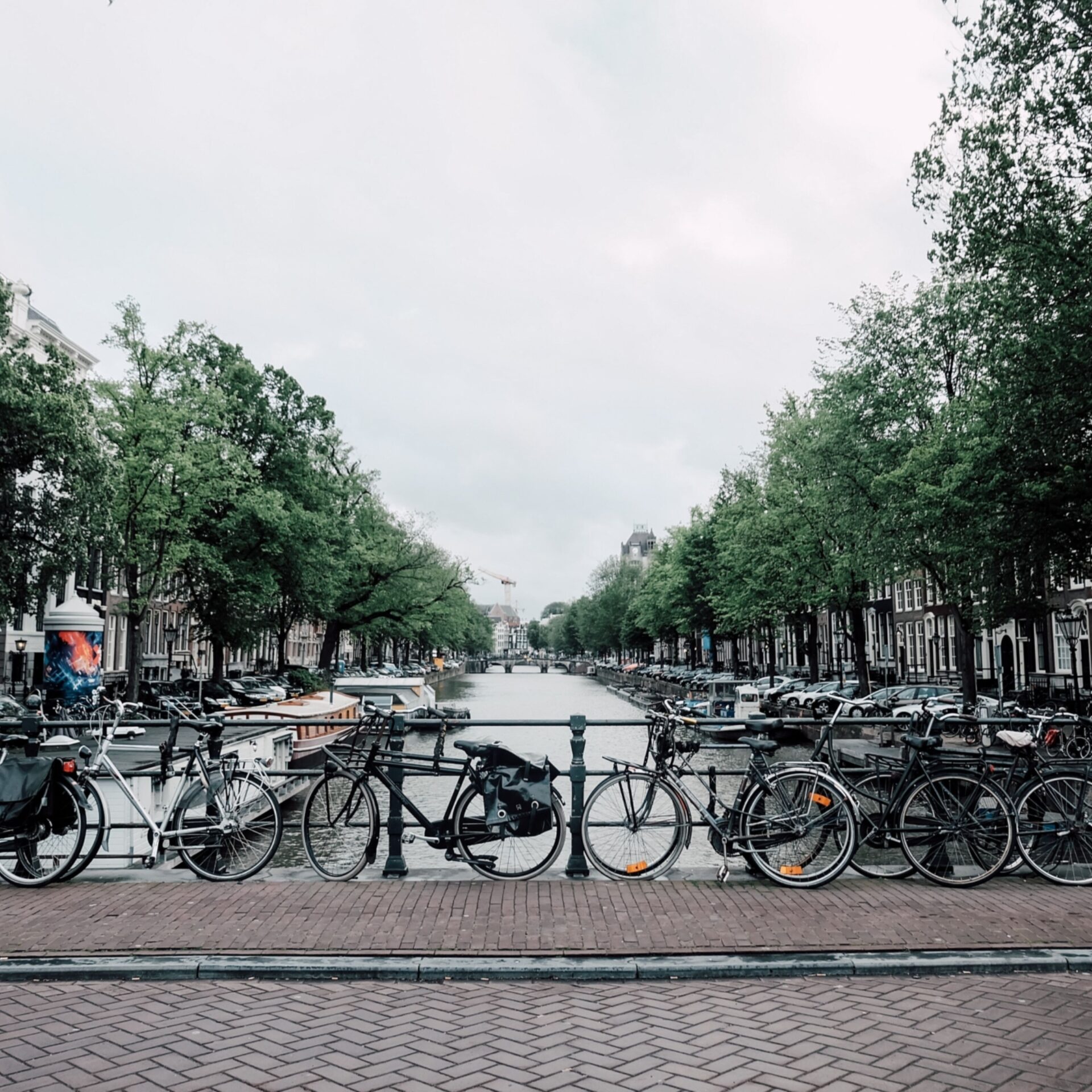 Jennieramida DO Ex N Caac UA unsplash